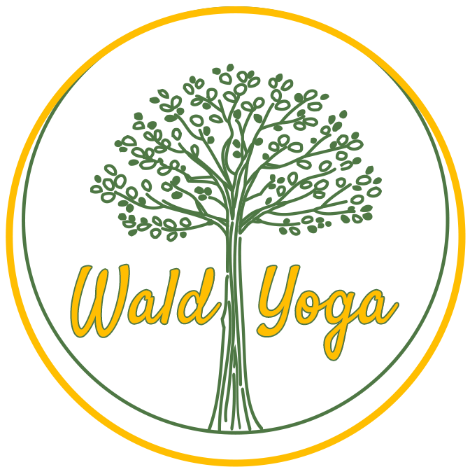 Wald Yoga, Yogakurse Gabi Peterseil