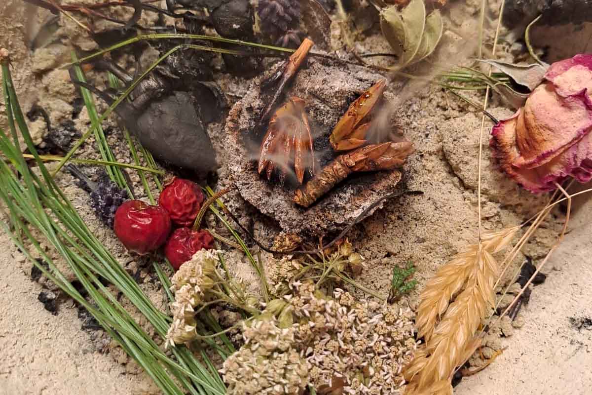 Yogapose im Wald Gabi Peterseil