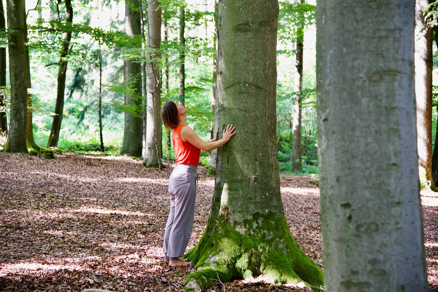Gabi Peterseil Yogapose im Wald