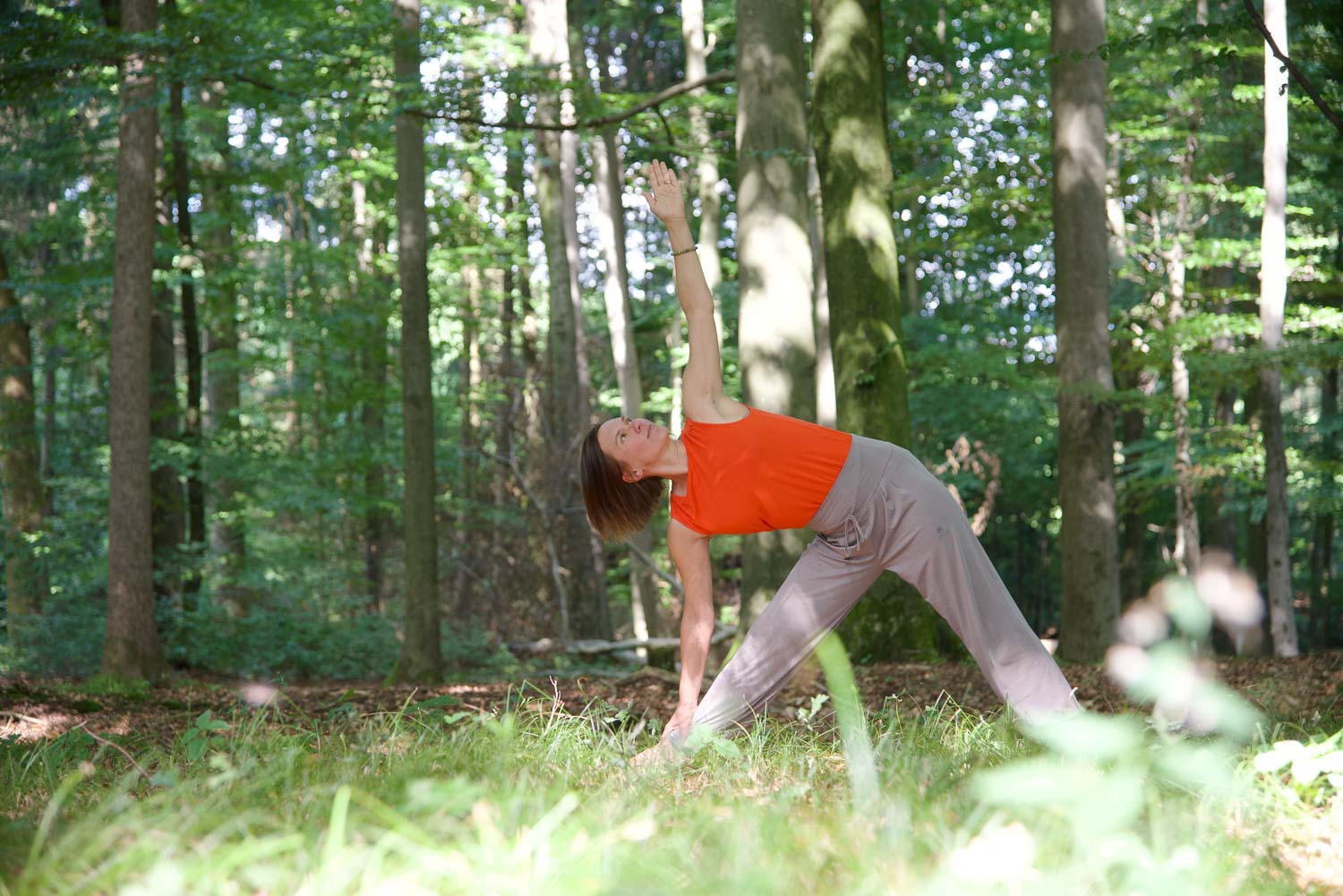 Gabi Peterseil Waldyoga